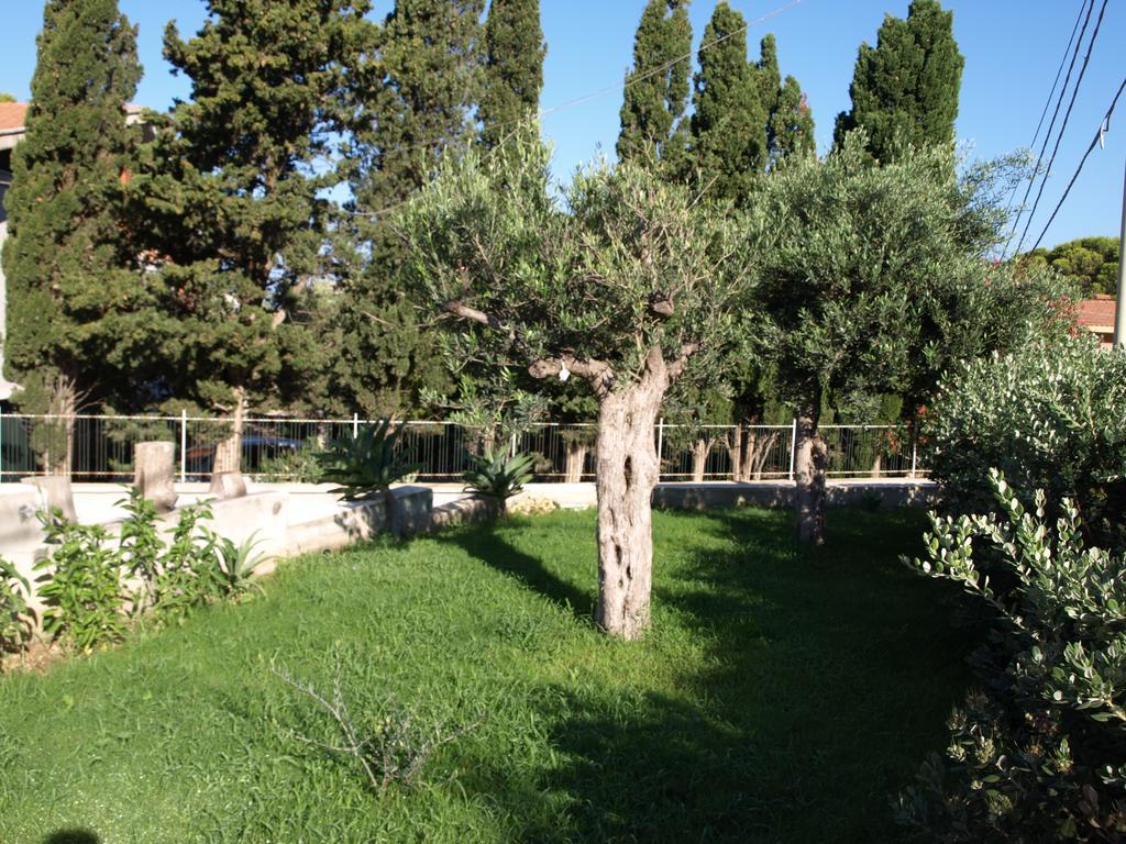 Guesthouse Anchise 38 Pizzolungo Exterior photo